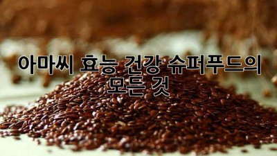 아마씨 효능: 건강 슈퍼푸드의 모든 것